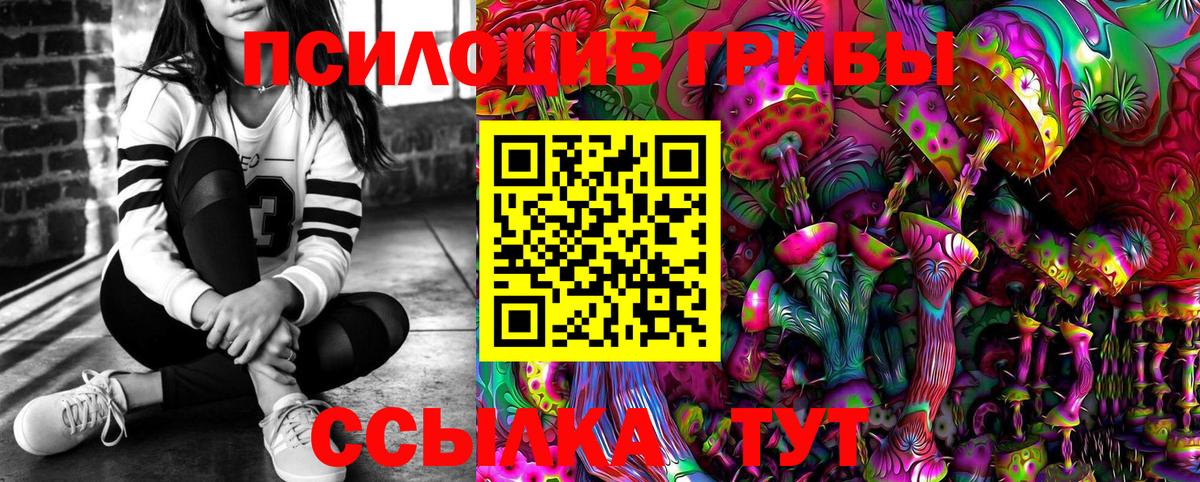 Псилоцибиновые грибы GOLDEN TEACHER  Галлюциногенные грибы Psilocybine cubensis  Хабаровск  Вход с VPN 
